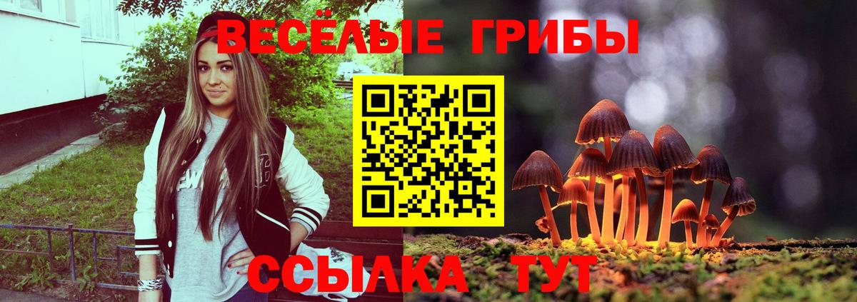 Галлюциногенные грибы Psilocybine cubensis  наркошоп  Каменка  Галлюциногенные грибы Magic Shrooms  Вход с VPN 