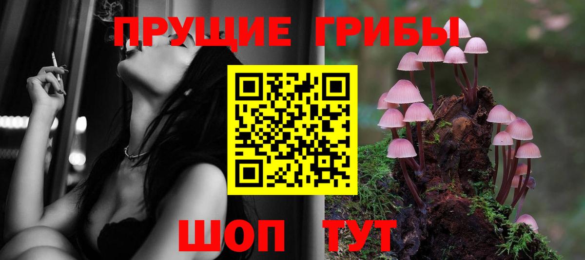 Галлюциногенные грибы ЛСД Каменка